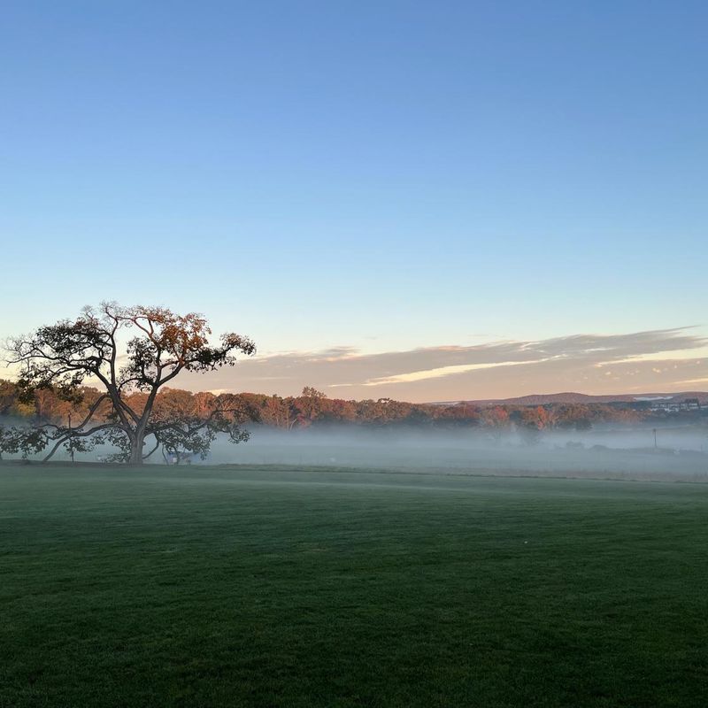 University cover photo